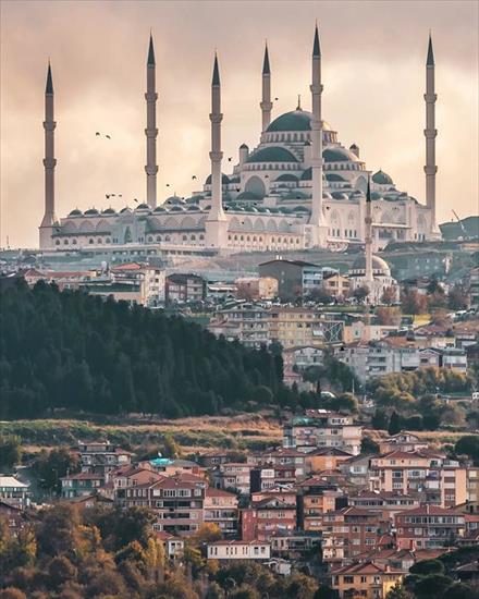 meczety - Turcja Stambuł.jpg