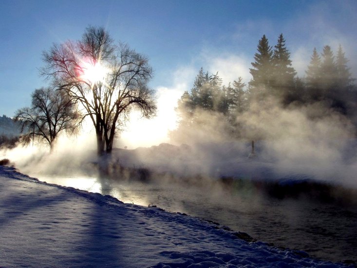 MGŁA - winter-fog.jpg