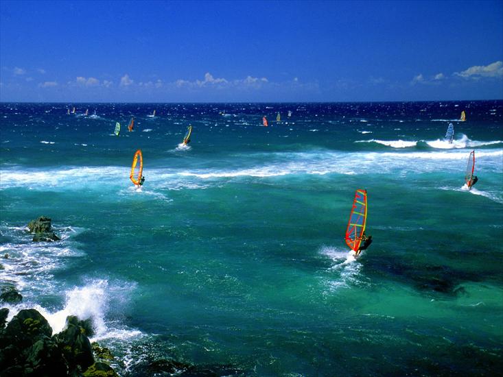 Krajobrazy - Windsurfers, Maui.jpg