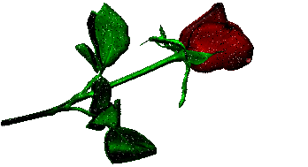 Róże - f1 114.gif