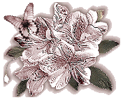 Kwiaty - ligne05_separation.gif