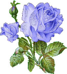 Niebieskie-Róże - niebieska roza.gif