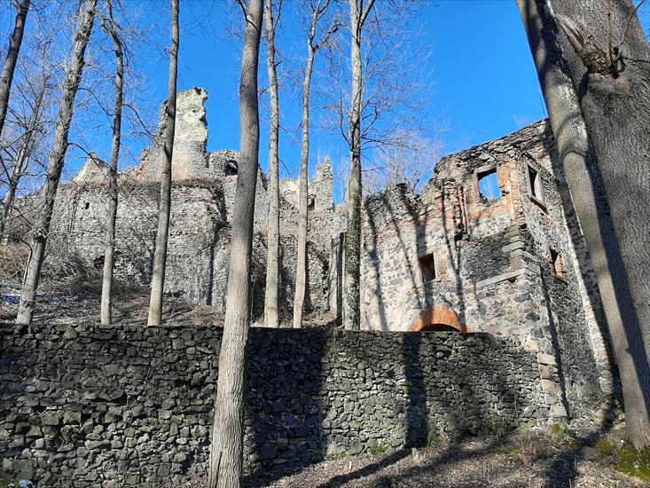 2021.03.06 05 - Proszówka - Ruiny zamku Gryf - 003.jpg