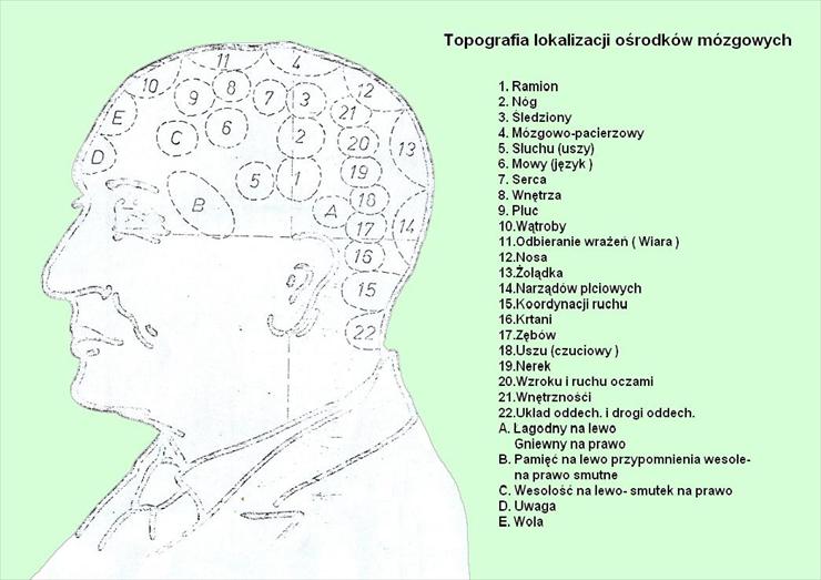  Akupresura - bc-głowa 2.JPG