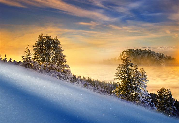 Pejzaż zimowy - Neverland Photographer- Tais.jpg